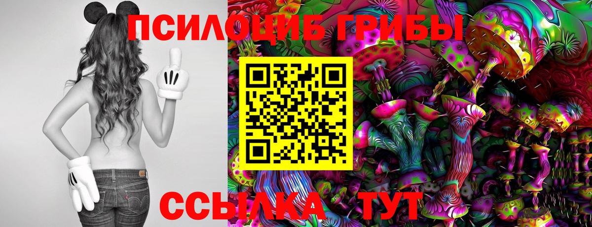 Галлюциногенные грибы GOLDEN TEACHER Луга